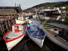 Petty Harbour